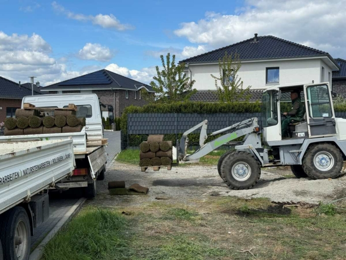 ABAZI BAU Gifhorn _ Rollrasen Lieferung Verlegung ABAZI BAU Gifhorn _ Rollrasen Lieferung Verlegung